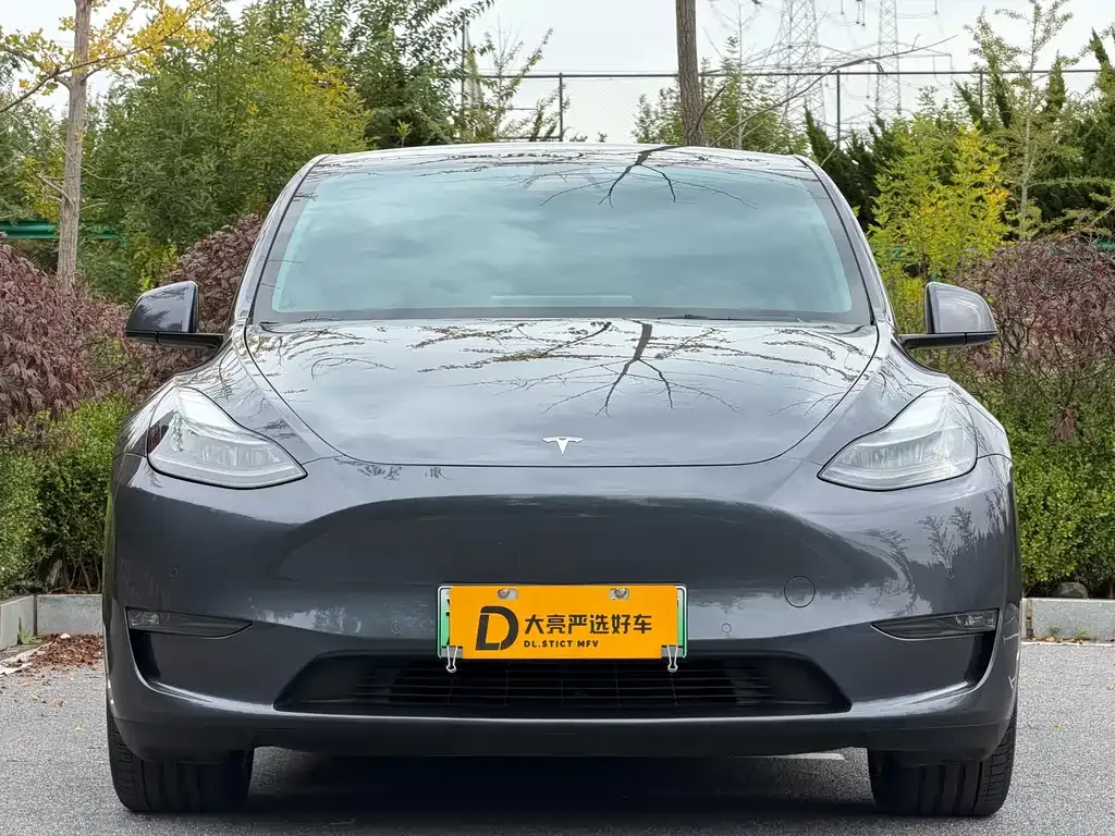 Tesla Model Y 2021 из CN, фото 2