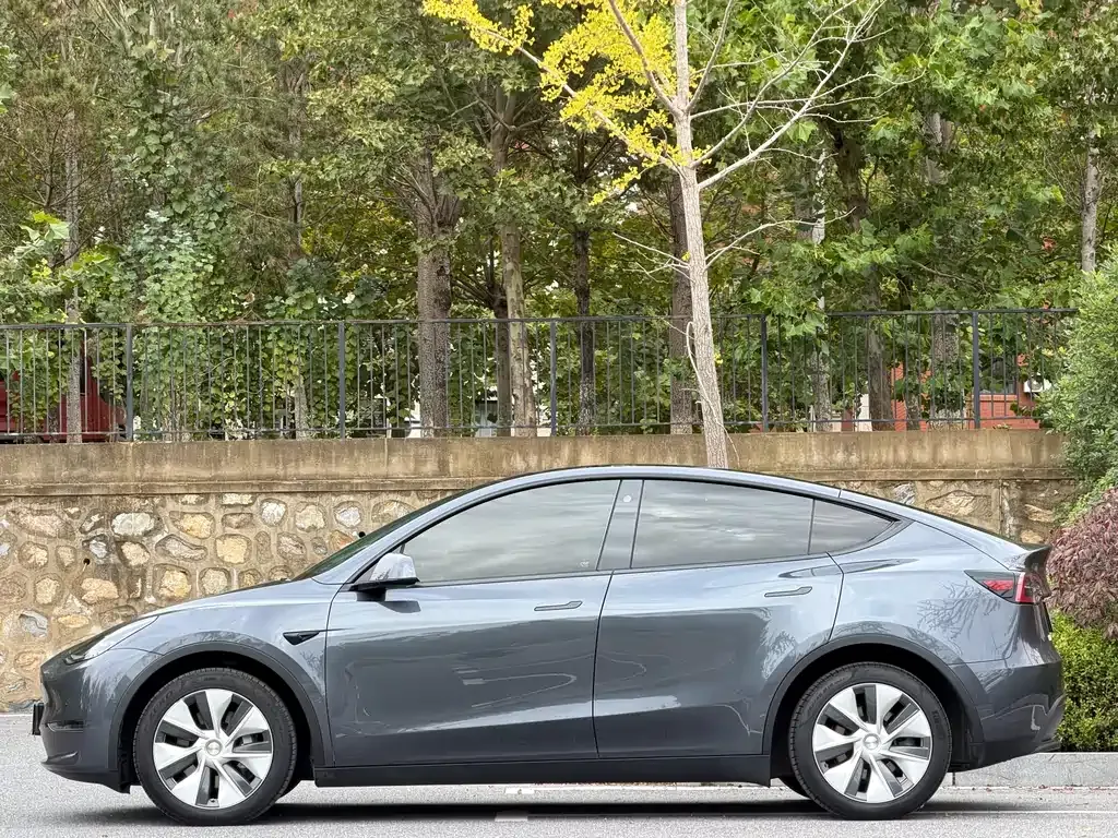 Tesla Model Y 2021 из CN, фото 3