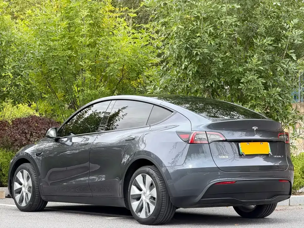 Tesla Model Y 2021 из CN, фото 4