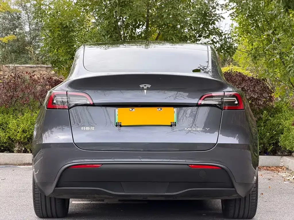 Tesla Model Y 2021 из CN, фото 5