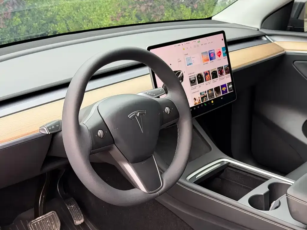 Tesla Model Y 2021 из CN, фото 6
