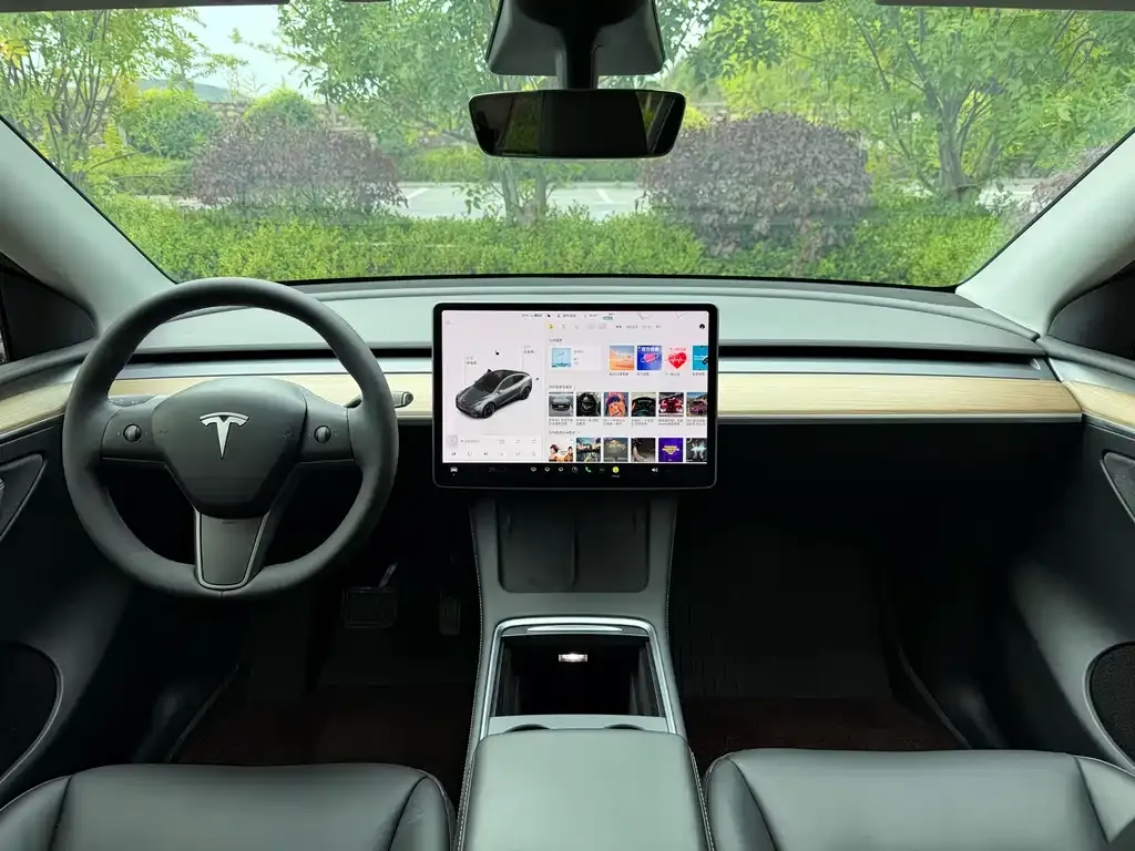 Tesla Model Y 2021 из CN, фото 7