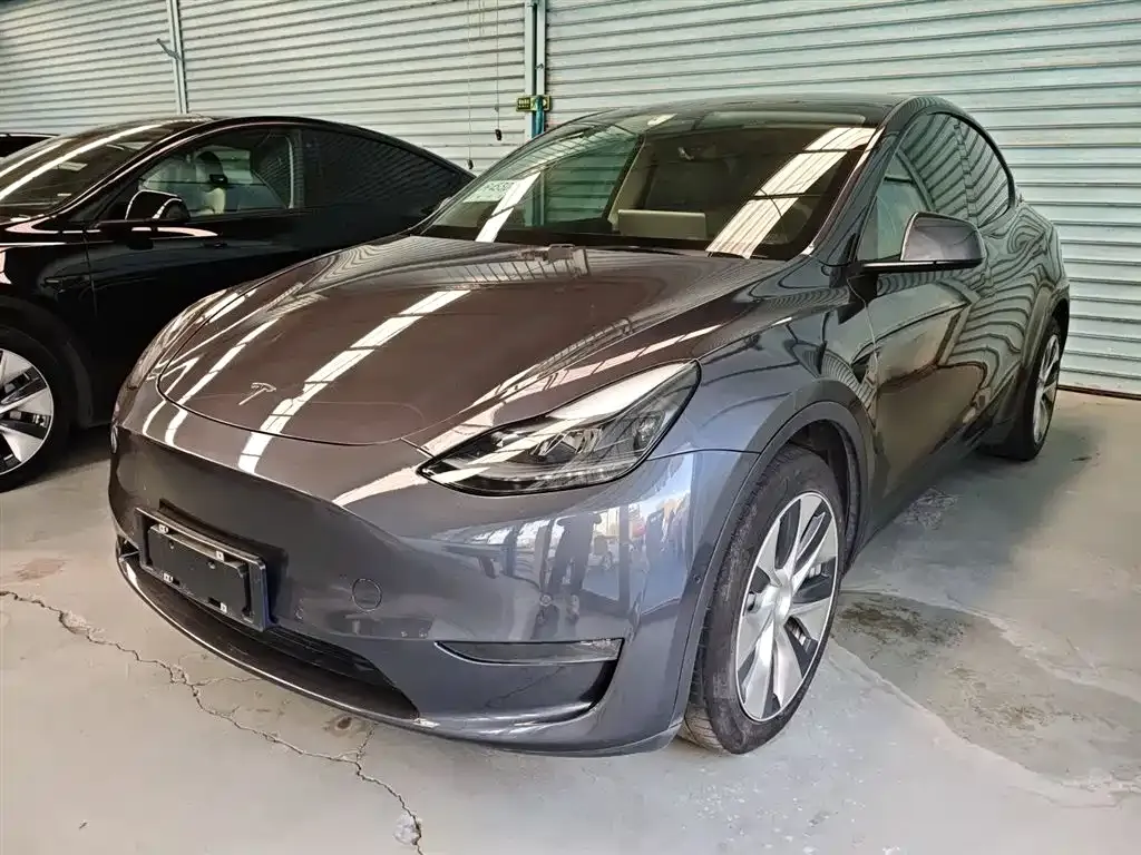 Tesla Model Y 2021 из CN, фото 1