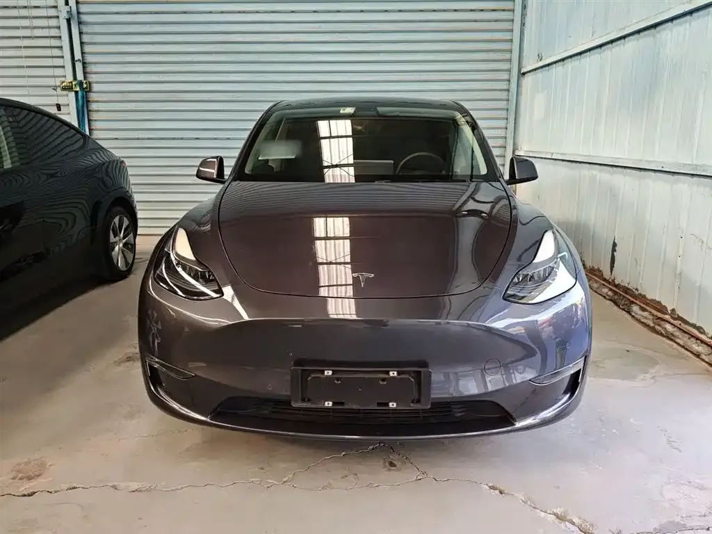 Tesla Model Y 2021 из CN, фото 3