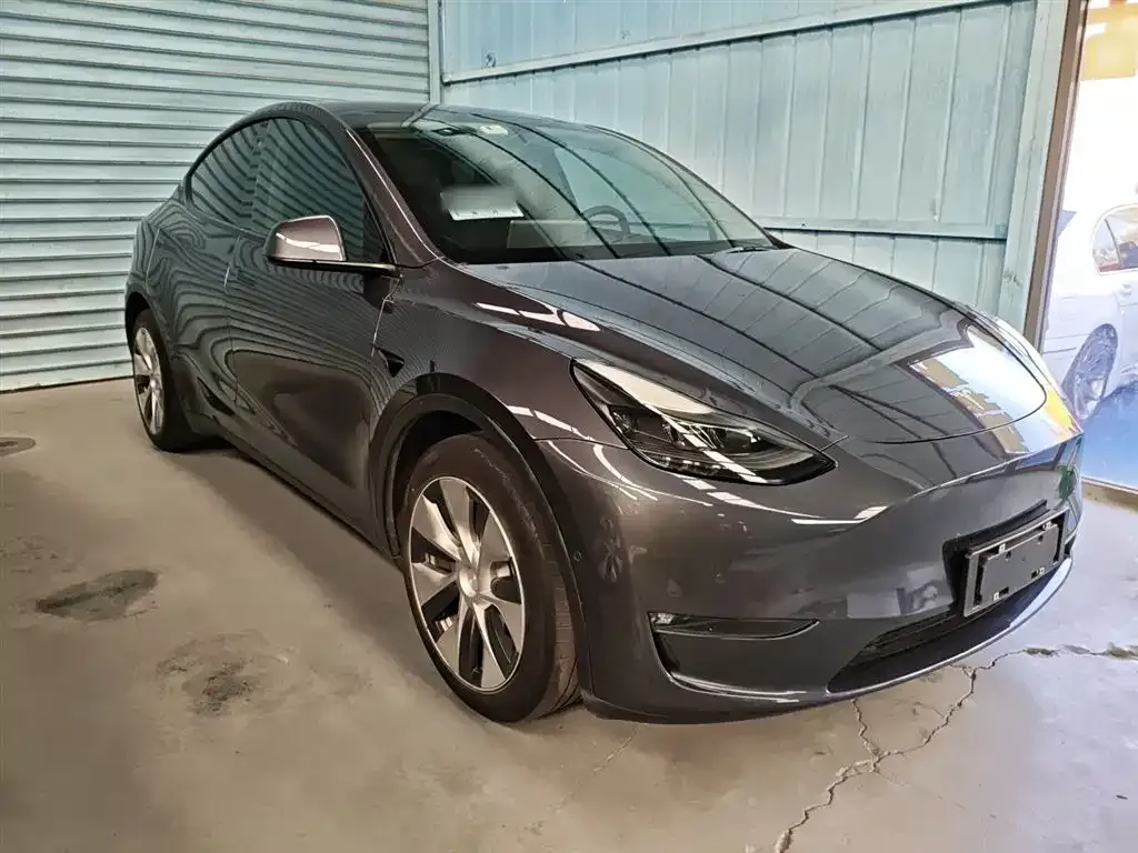 Tesla Model Y 2021 из CN, фото 4