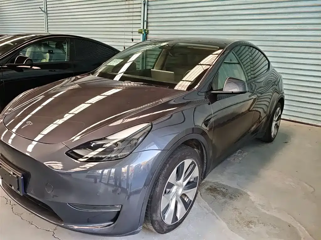 Tesla Model Y 2021 из CN, фото 5