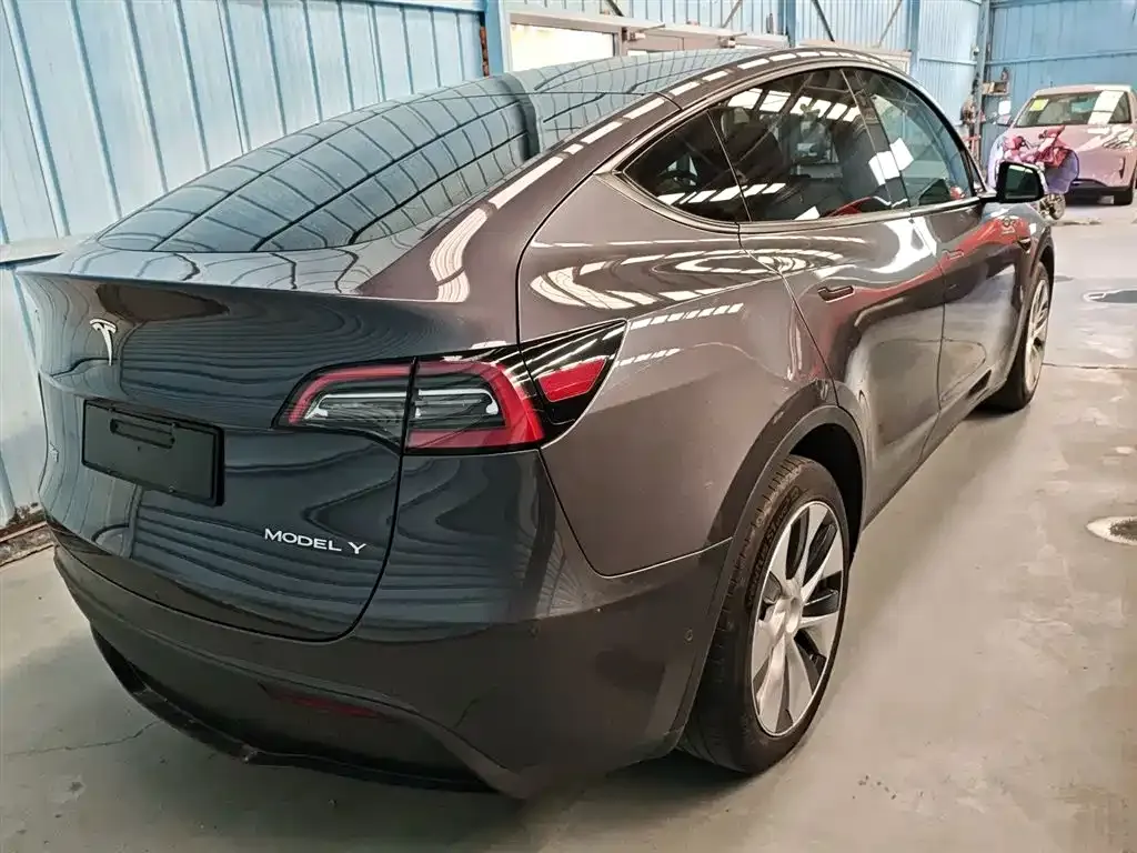 Tesla Model Y 2021 из CN, фото 7