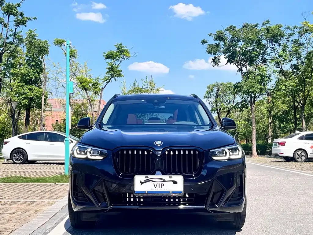 BMW X3 2022 из CN, фото 3