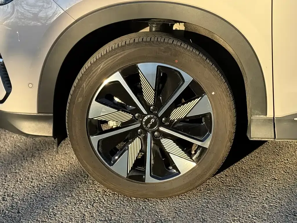 BYD PLUS New Energy 2025 из CN, фото 5