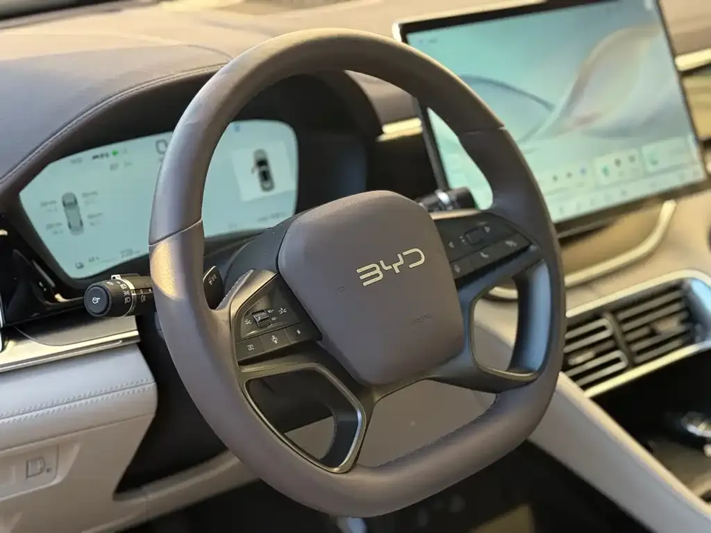 BYD PLUS New Energy 2025 из CN, фото 7