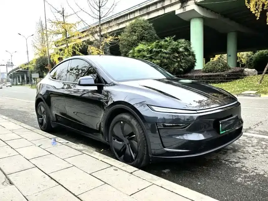 Tesla Model Y — фото 2