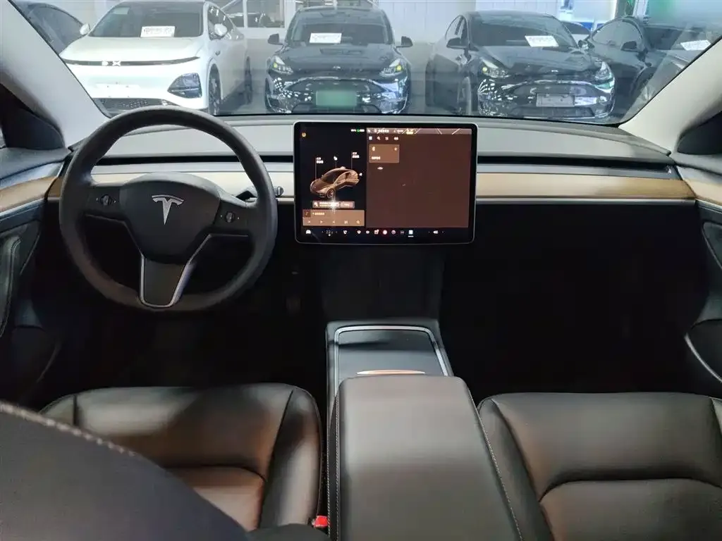 Tesla Model 3 2021 из CN, фото 10