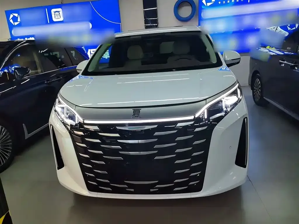 BYD Xia 2025 из CN, фото 3