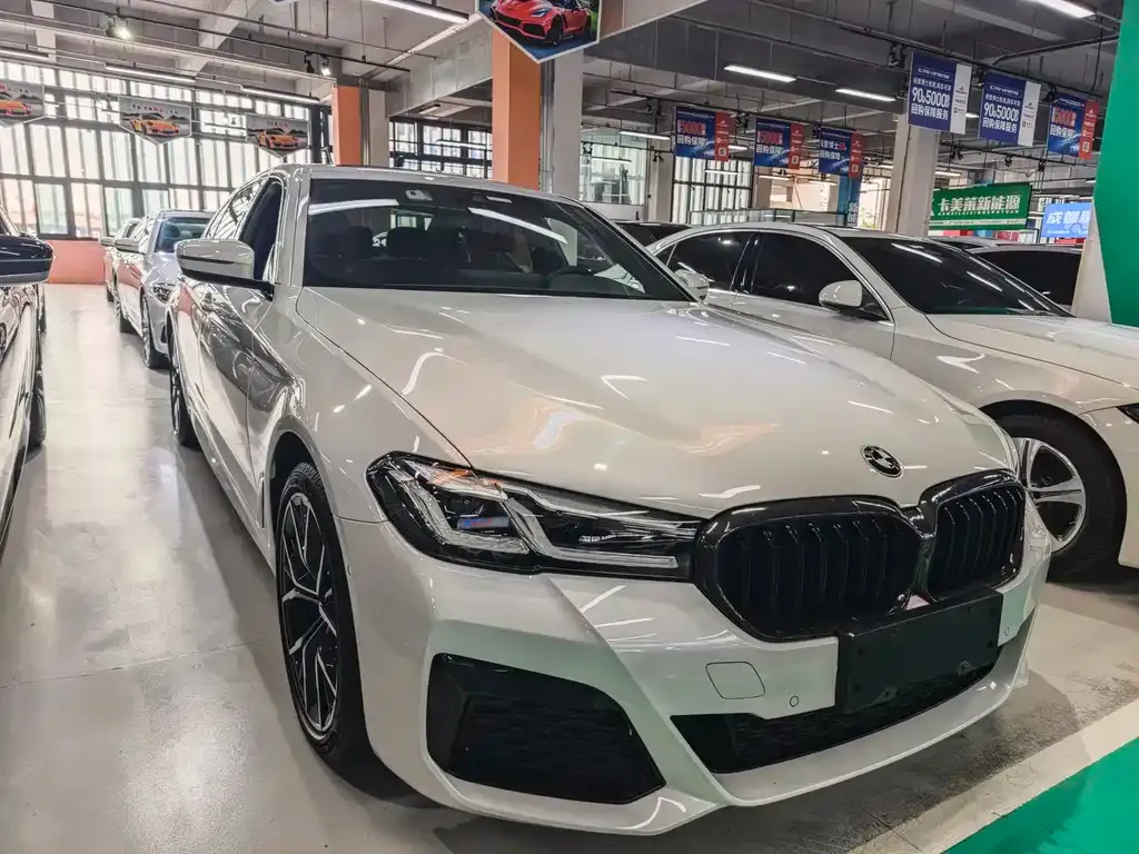 BMW 5 Series 2022 из CN, фото 1