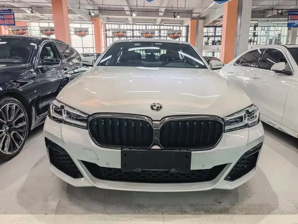 BMW 5 Series 2022 из CN, фото 2