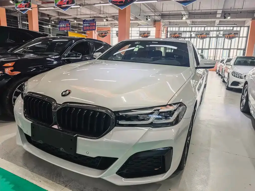 BMW 5 Series 2022 из CN, фото 3