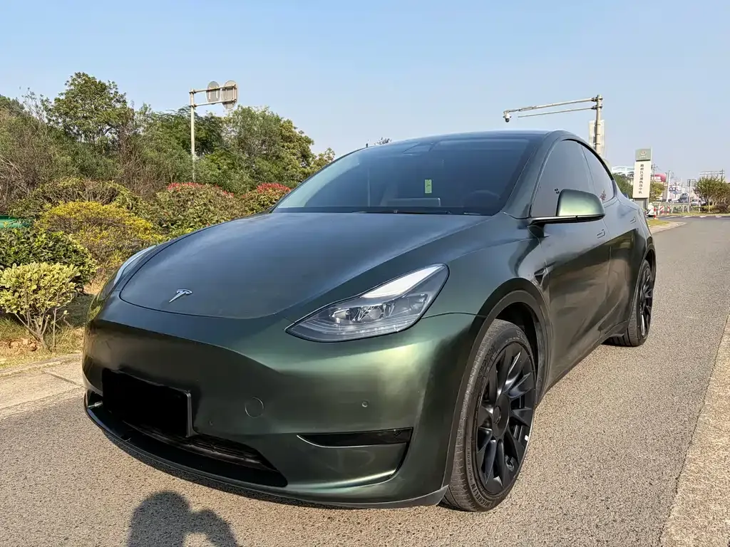 Tesla Model Y 2022 из CN, фото 1