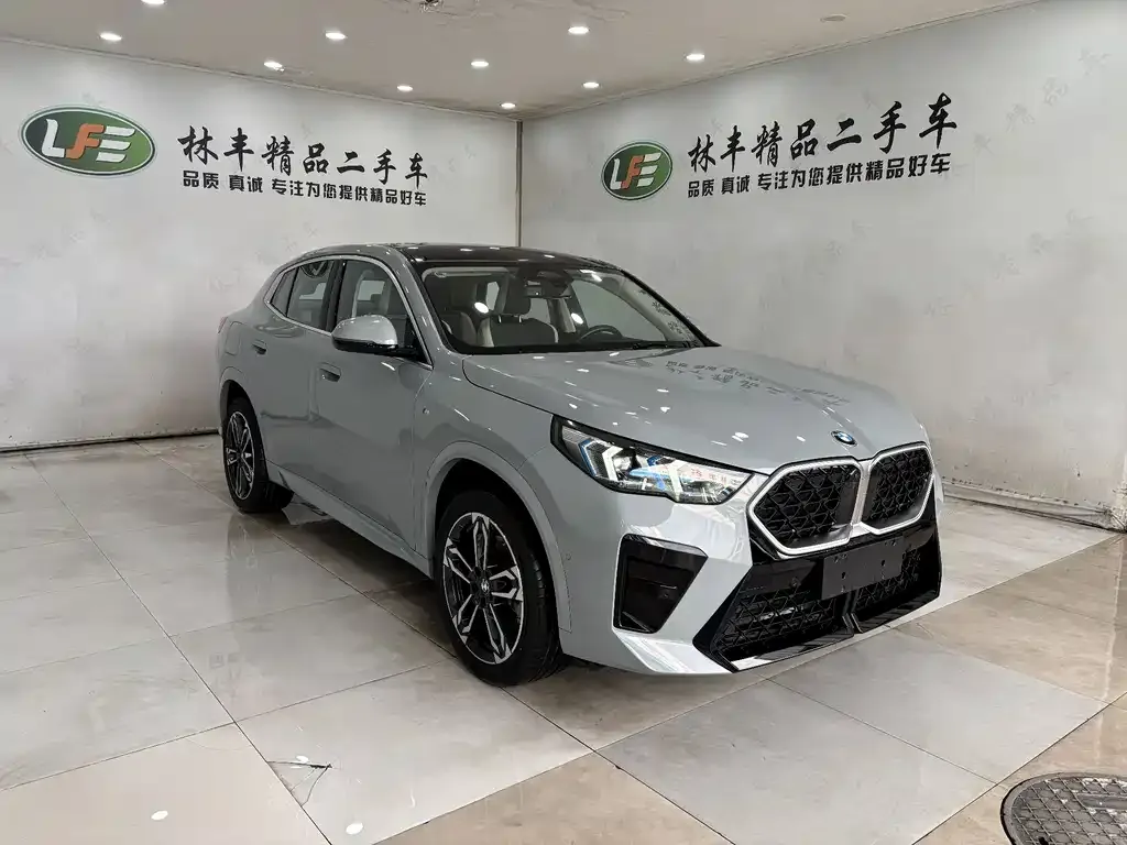 BMW X2 (Import) 2024 из CN, фото 4