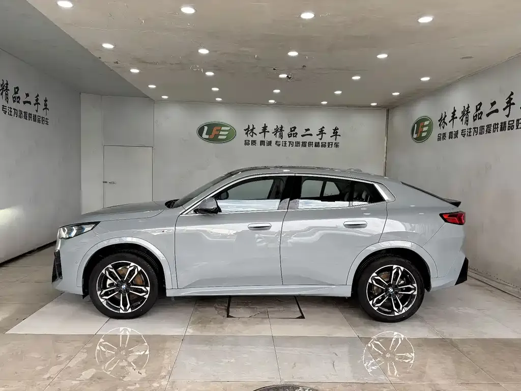 BMW X2 (Import) 2024 из CN, фото 5