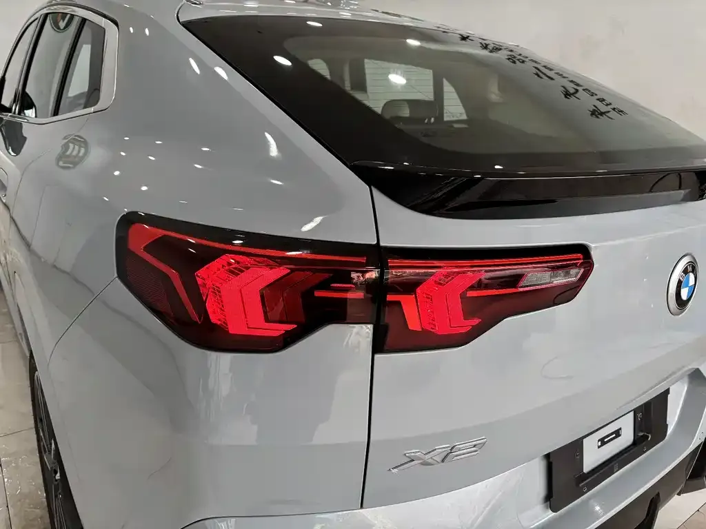BMW X2 (Import) 2024 из CN, фото 9