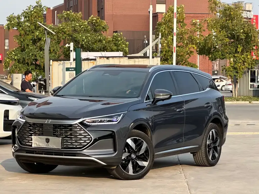 BYD Tang New Energy 2024 из CN, фото 1