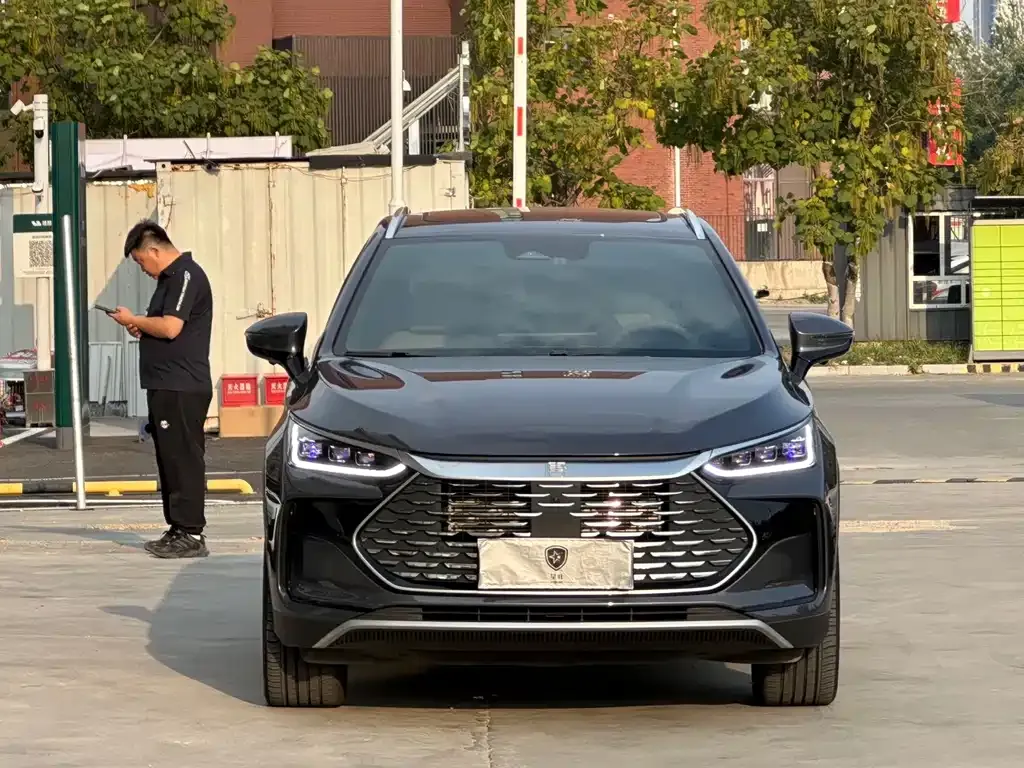 BYD Tang New Energy 2024 из CN, фото 2