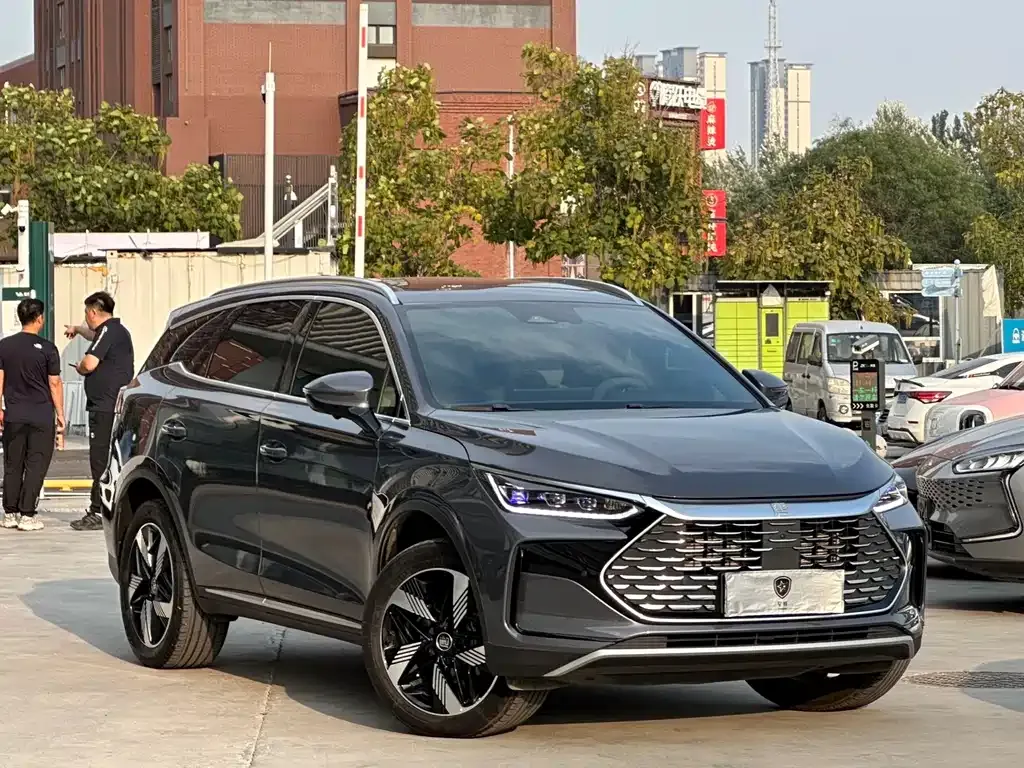 BYD Tang New Energy 2024 из CN, фото 3