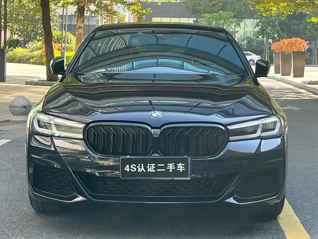BMW 5 Series 2023 из CN, фото 2