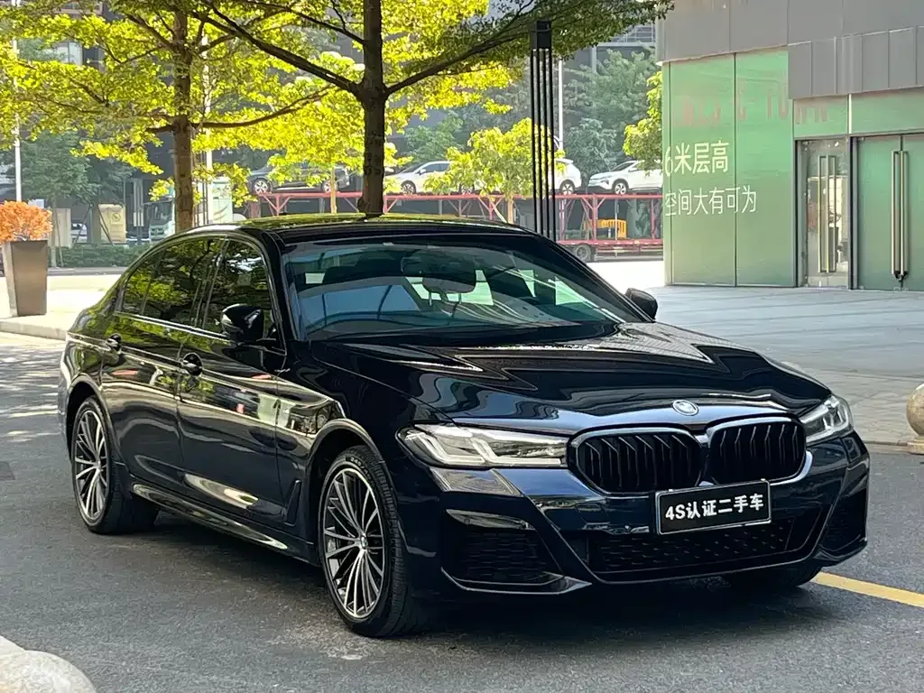 BMW 5 Series 2023 из CN, фото 3
