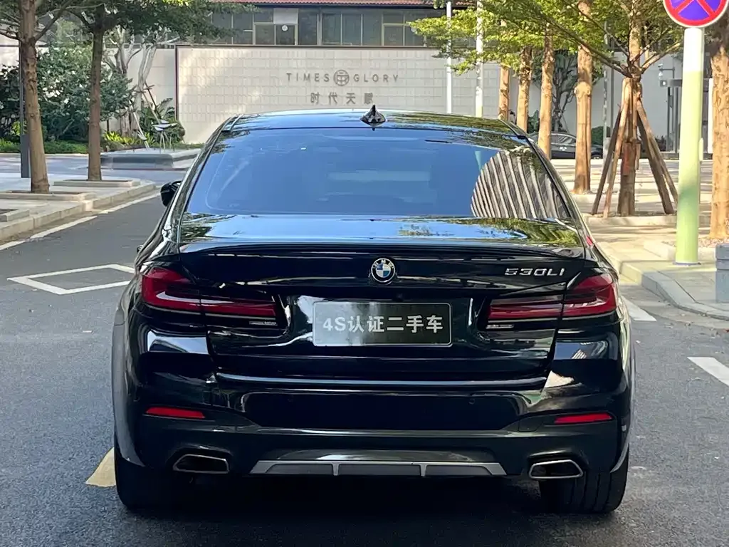 BMW 5 Series 2023 из CN, фото 6