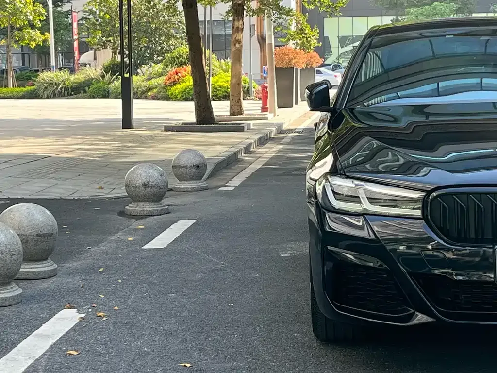BMW 5 Series 2023 из CN, фото 7
