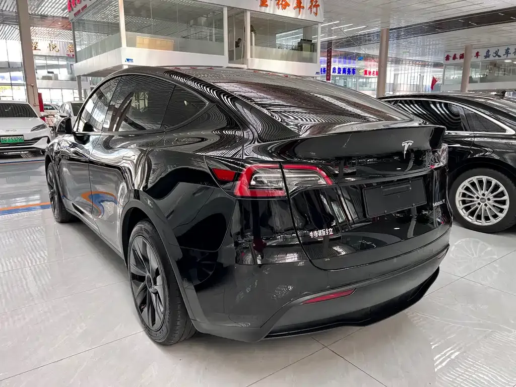 Tesla Model Y 2024 из CN, фото 6