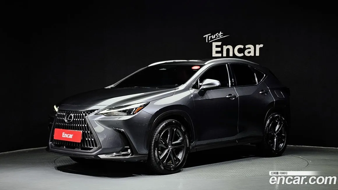 Lexus NX 2022 из KR, фото 1
