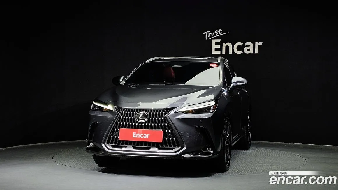 Lexus NX 2022 из KR, фото 3