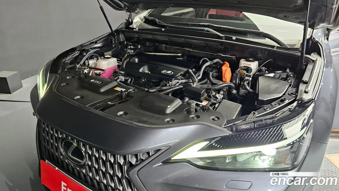 Lexus NX 2022 из KR, фото 6