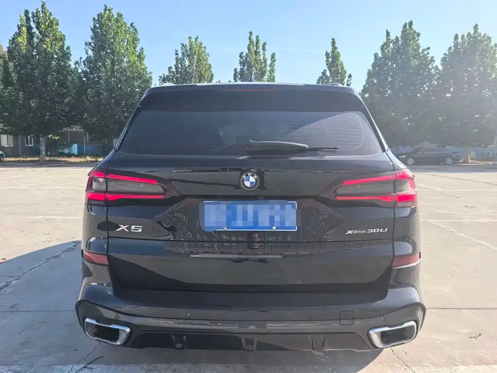 BMW X5 2023 из CN, фото 3