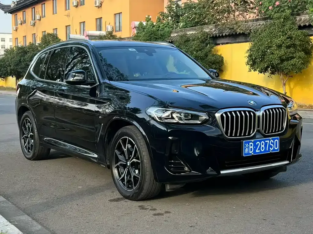 BMW X3 2023 из CN, фото 3