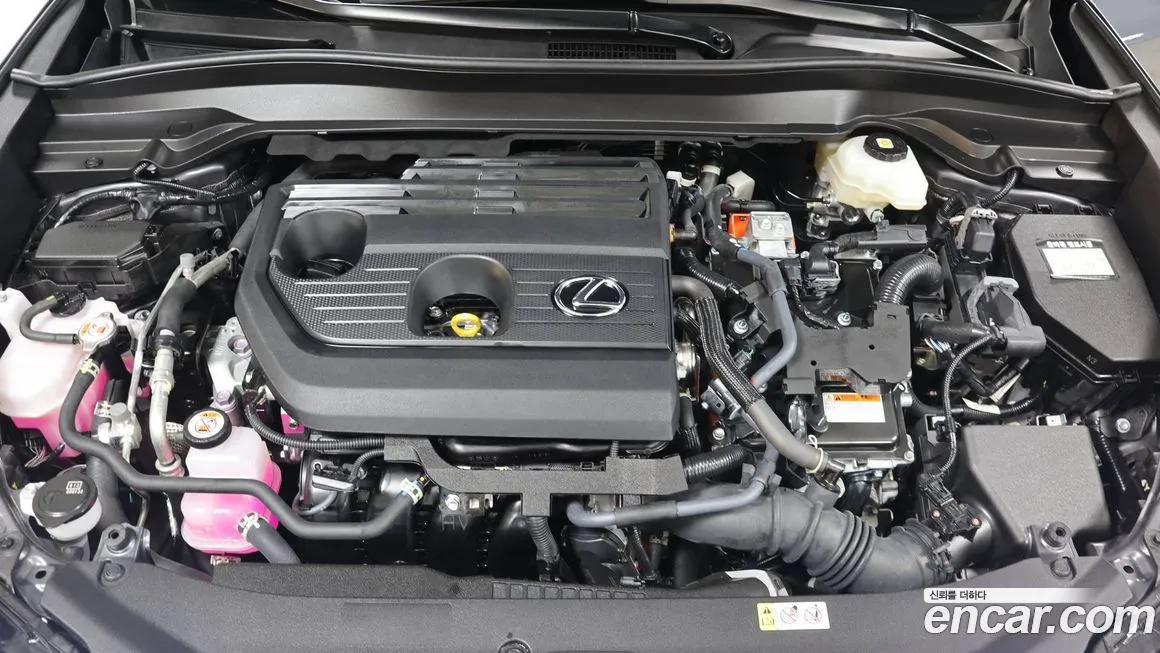 Lexus UX 2025 из KR, фото 6