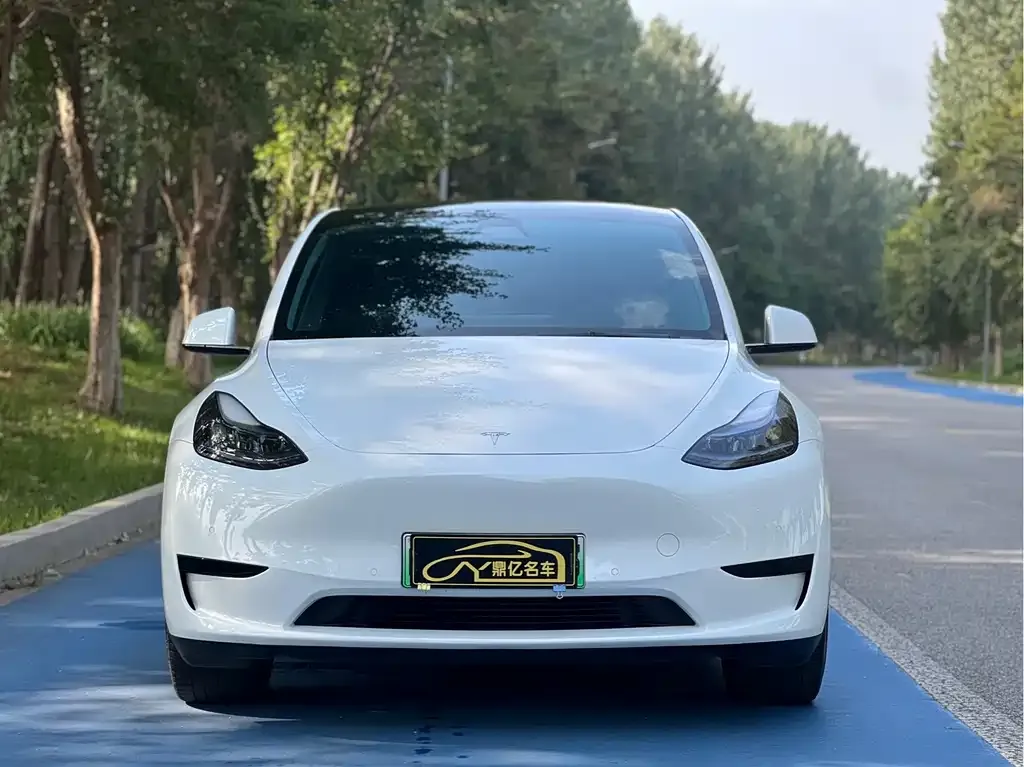 Tesla Model Y — фото 2