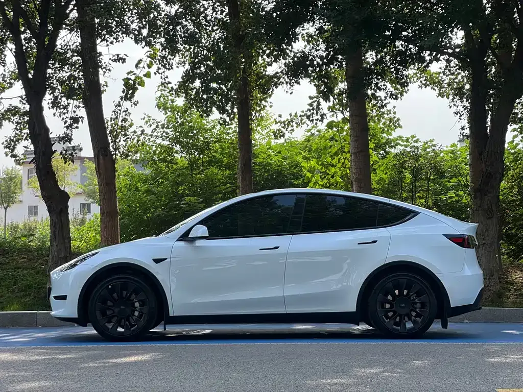 Tesla Model Y — фото 3