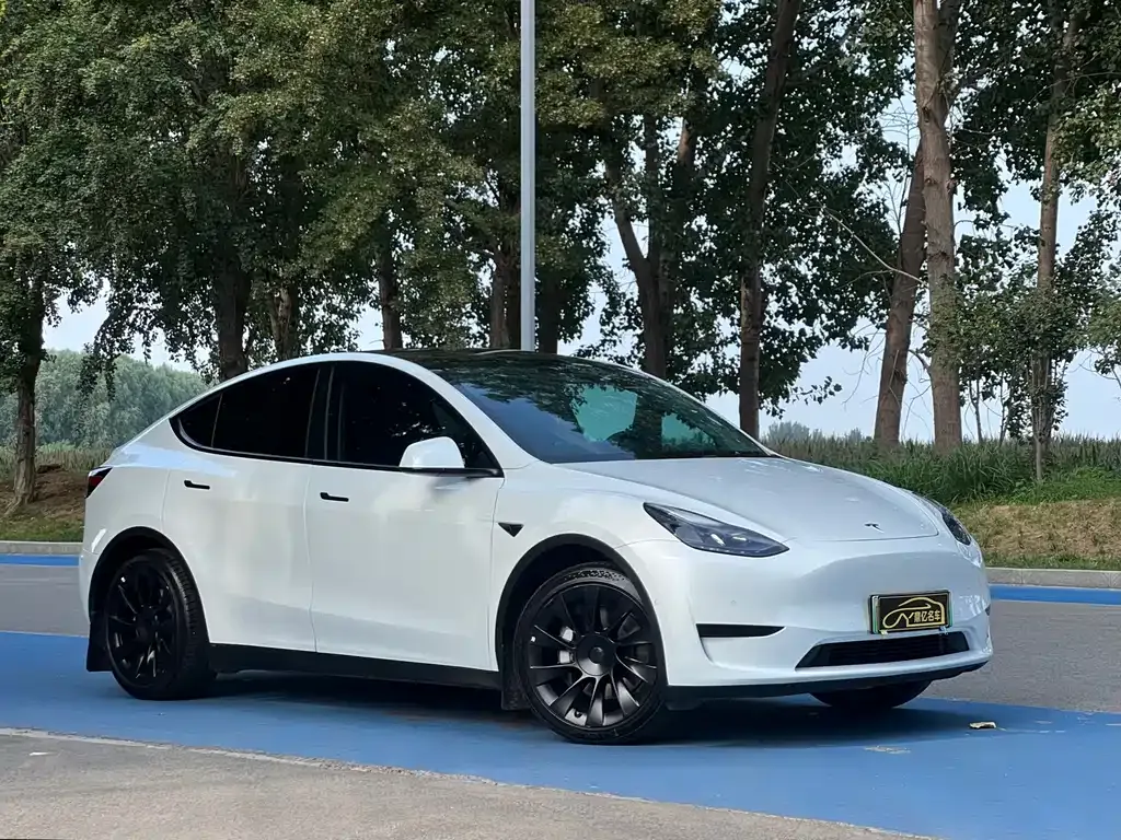 Tesla Model Y — фото 4