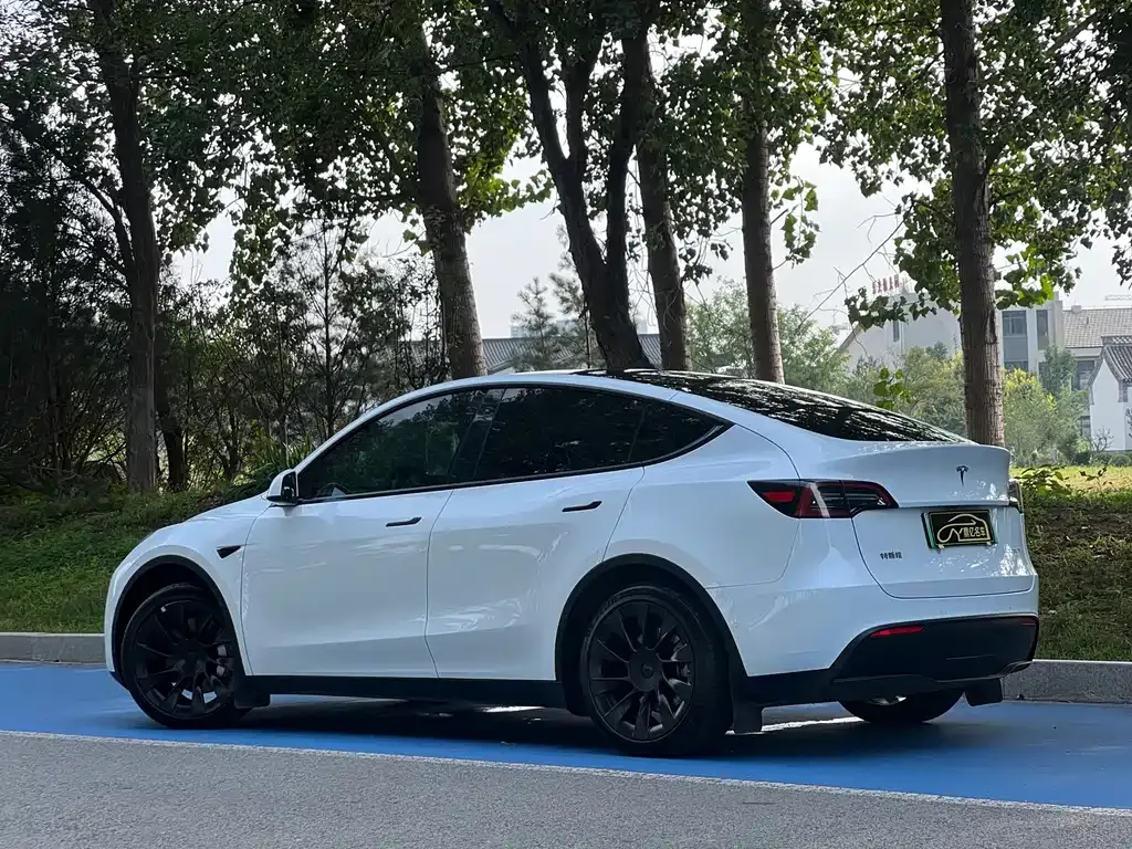 Tesla Model Y — фото 5