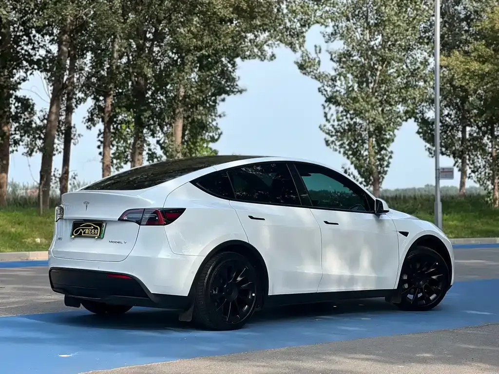 Tesla Model Y — фото 7