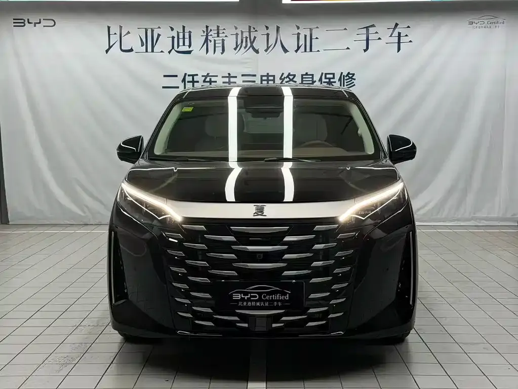 BYD Xia 2025 из CN, фото 2