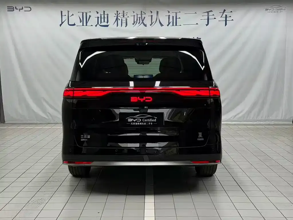 BYD Xia 2025 из CN, фото 4