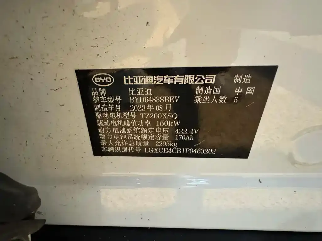 BYD PLUS New Energy 2023 из CN, фото 10