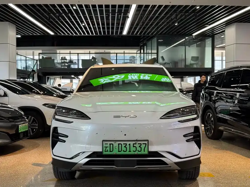 BYD PLUS New Energy 2023 из CN, фото 2