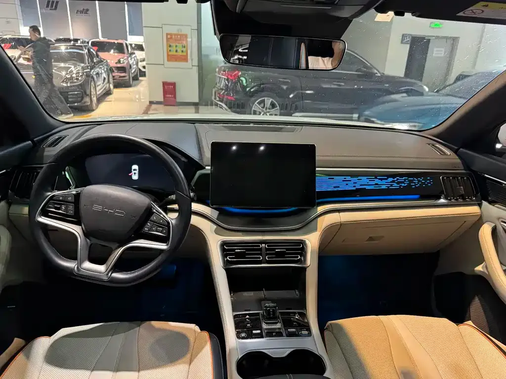 BYD PLUS New Energy 2023 из CN, фото 4