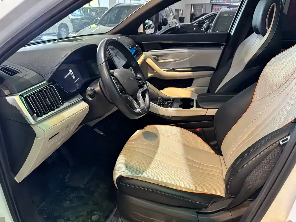 BYD PLUS New Energy 2023 из CN, фото 5