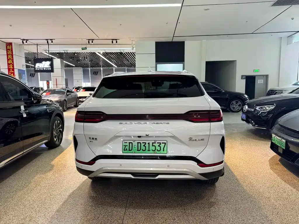 BYD PLUS New Energy 2023 из CN, фото 8